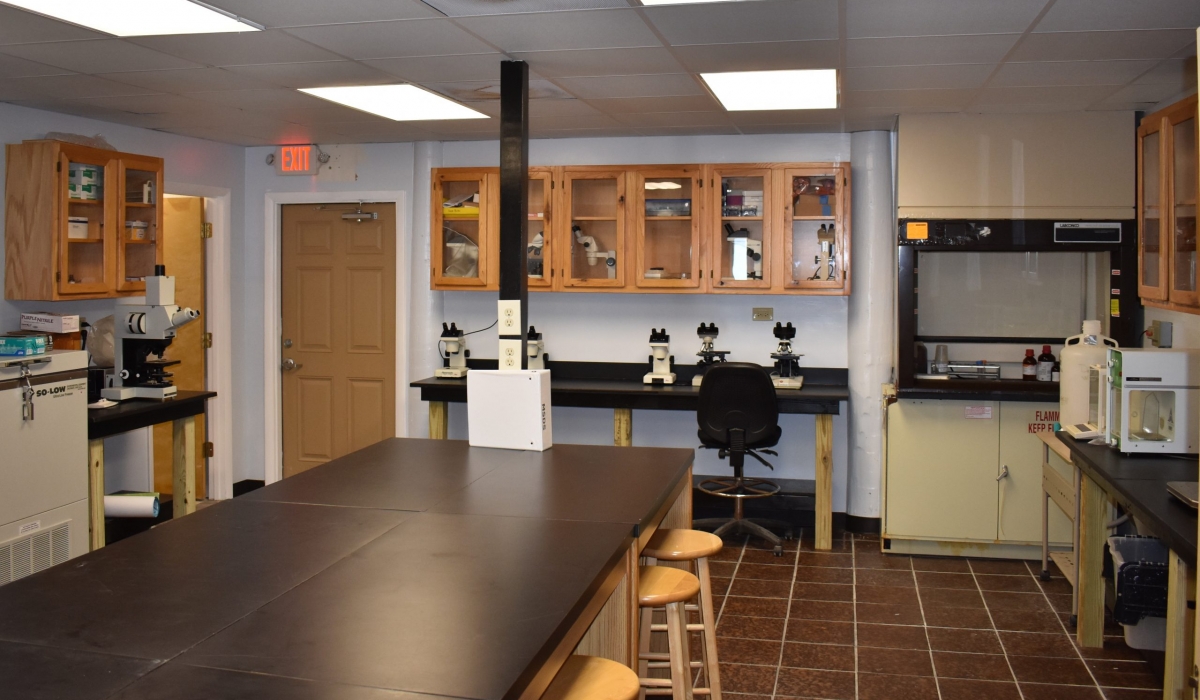 The main Drylab has plenty of work space and is fully equipped with a fume hood, compound and dissecting microscopes, a -80 freezer, on demand RO or DI water, and a basic compliment of glassware.