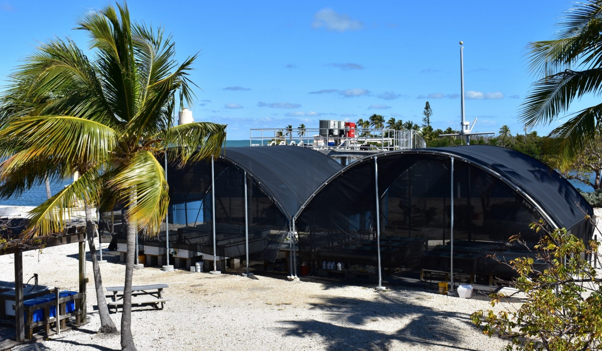 The Well seawater systems tanks and tables are covered with 80% shade cloth.
