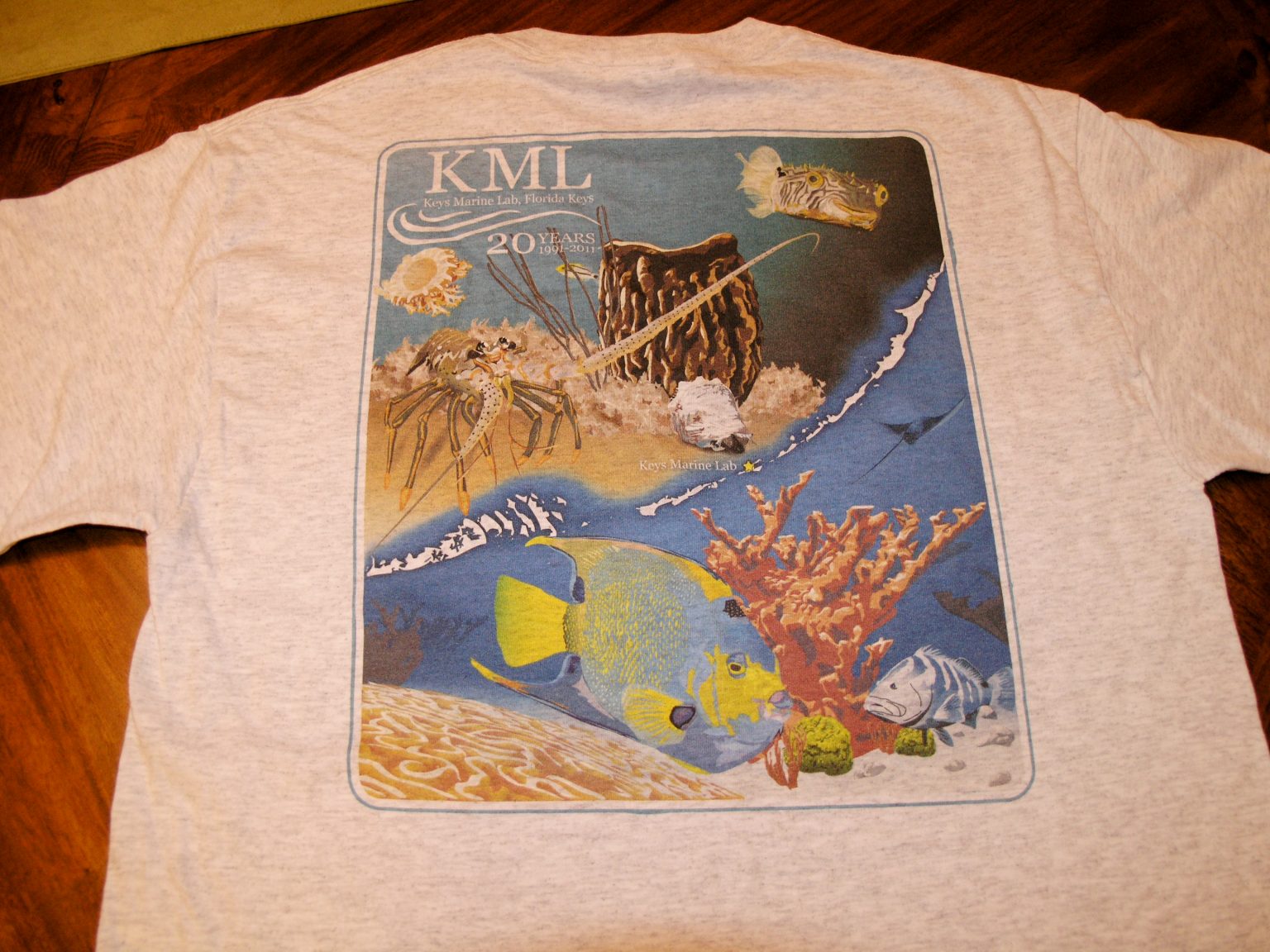 KML Apparel