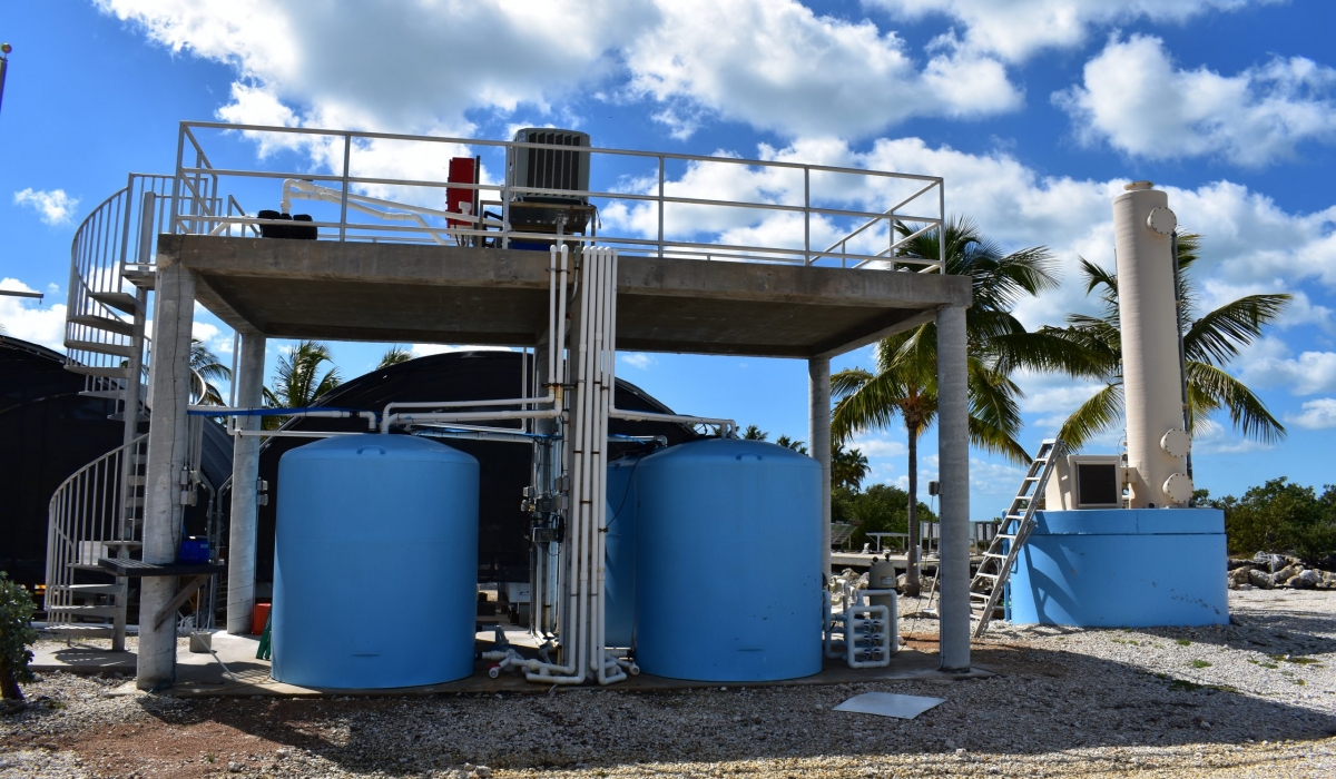 Seawater is pumped from the degassing tower, through a sand filter, UV sterilizer and into 4 1700 gallon holding tanks. We can then manipulate temperature through the use of heater chillers and pH through CO2 injection and dosing parameters requested by the researcher.
