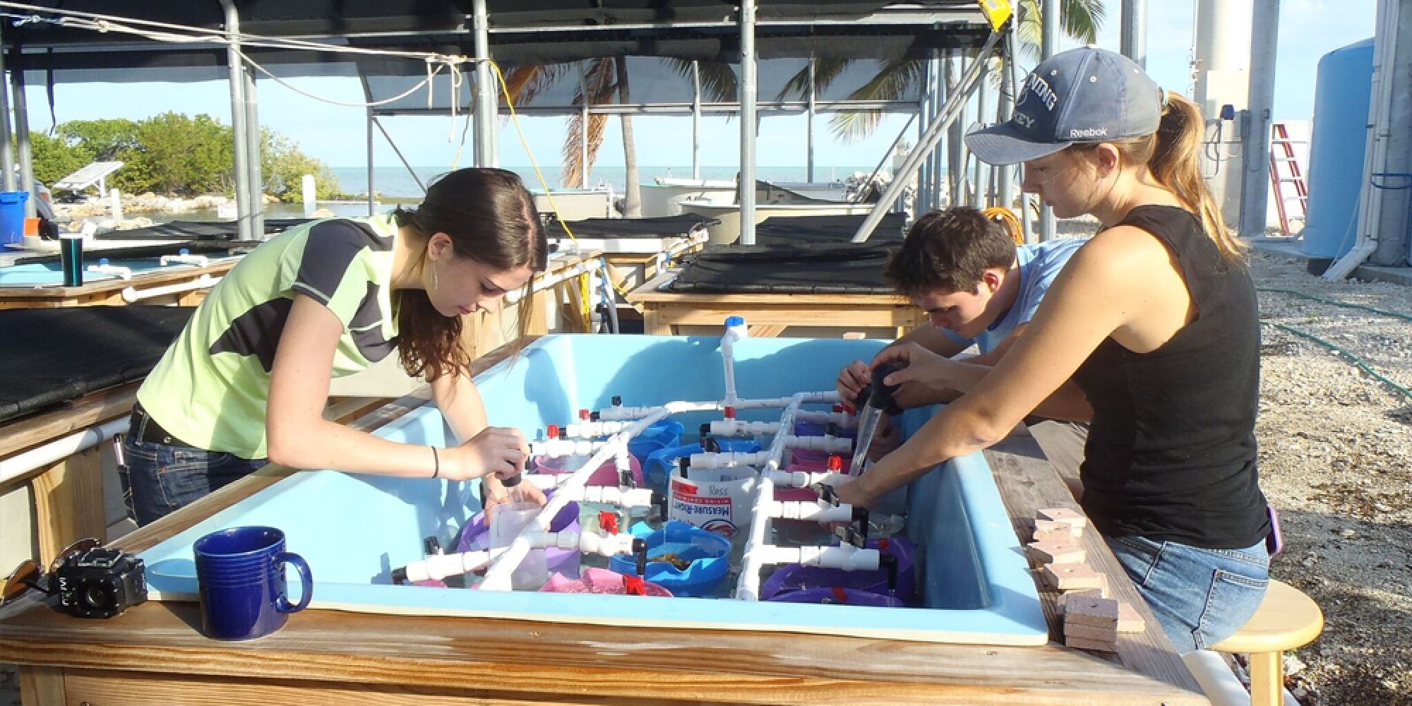 Student researcher assistants from University of North Florida demonstrating the versatility of one of the 130-gallon seawater raceways configured for Porites astreoides spawning experiments.