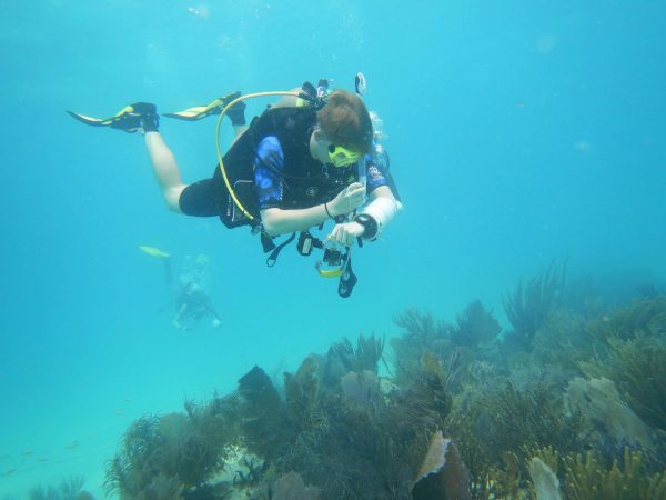 USF Student Diver
