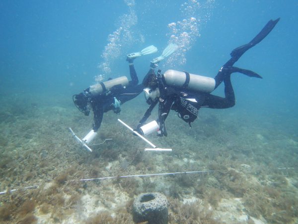 USF Student Divers