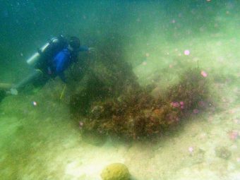 There is a trail of historic shipwrecks scattered along the treacherous coral reefs and buried in the sandy shallows a few miles off the Florida Keys.