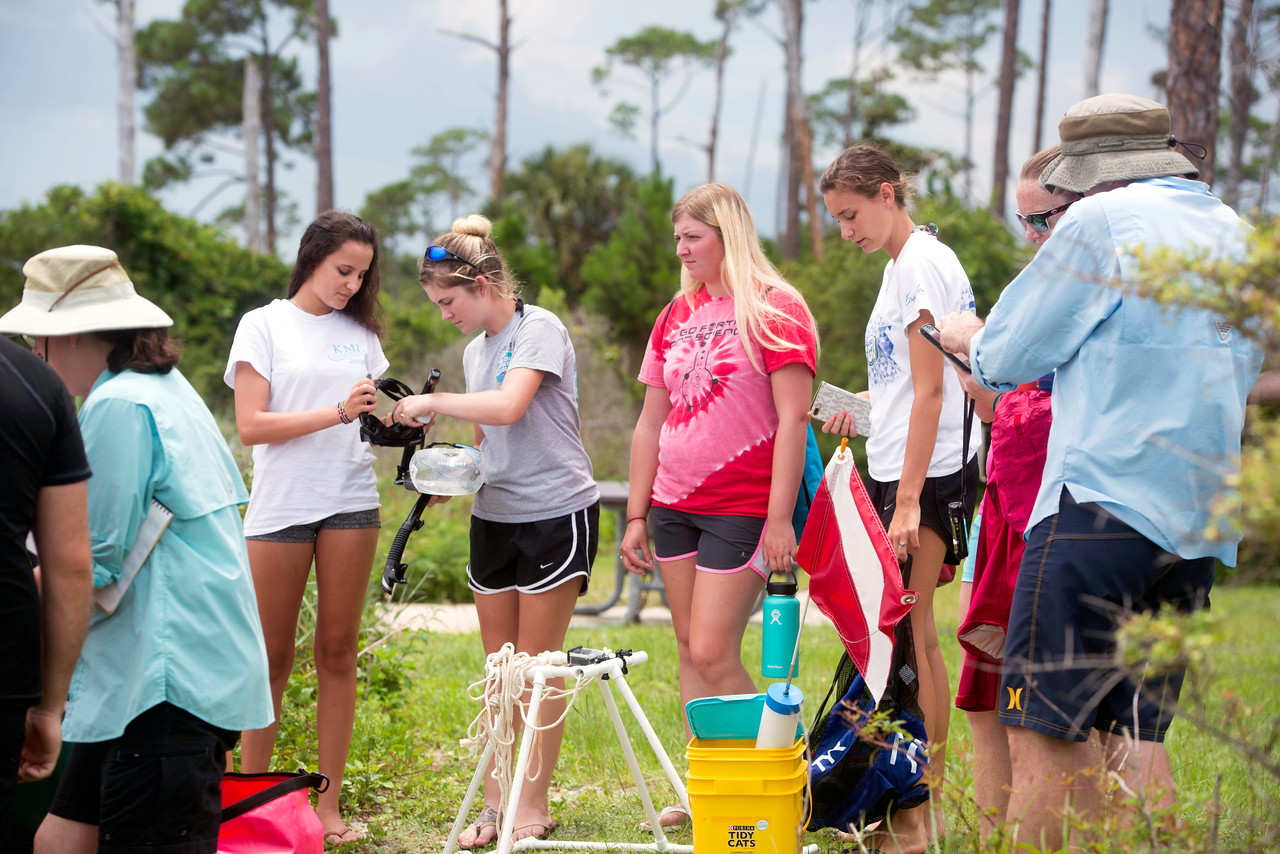 University students participate in the submerged groundwater and seagrasses detection and impacts class at the Naval Live Oaks Reservation in Gulf Breeze. The University of West Florida is joining four other universities and the Florida Institute of Oceanography in offering a five-week, summer field intensive marine biology course through a partnership between UWF and the Florida Institute of Oceanography.