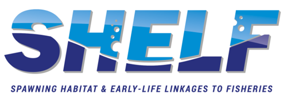 SHELF-Logo
