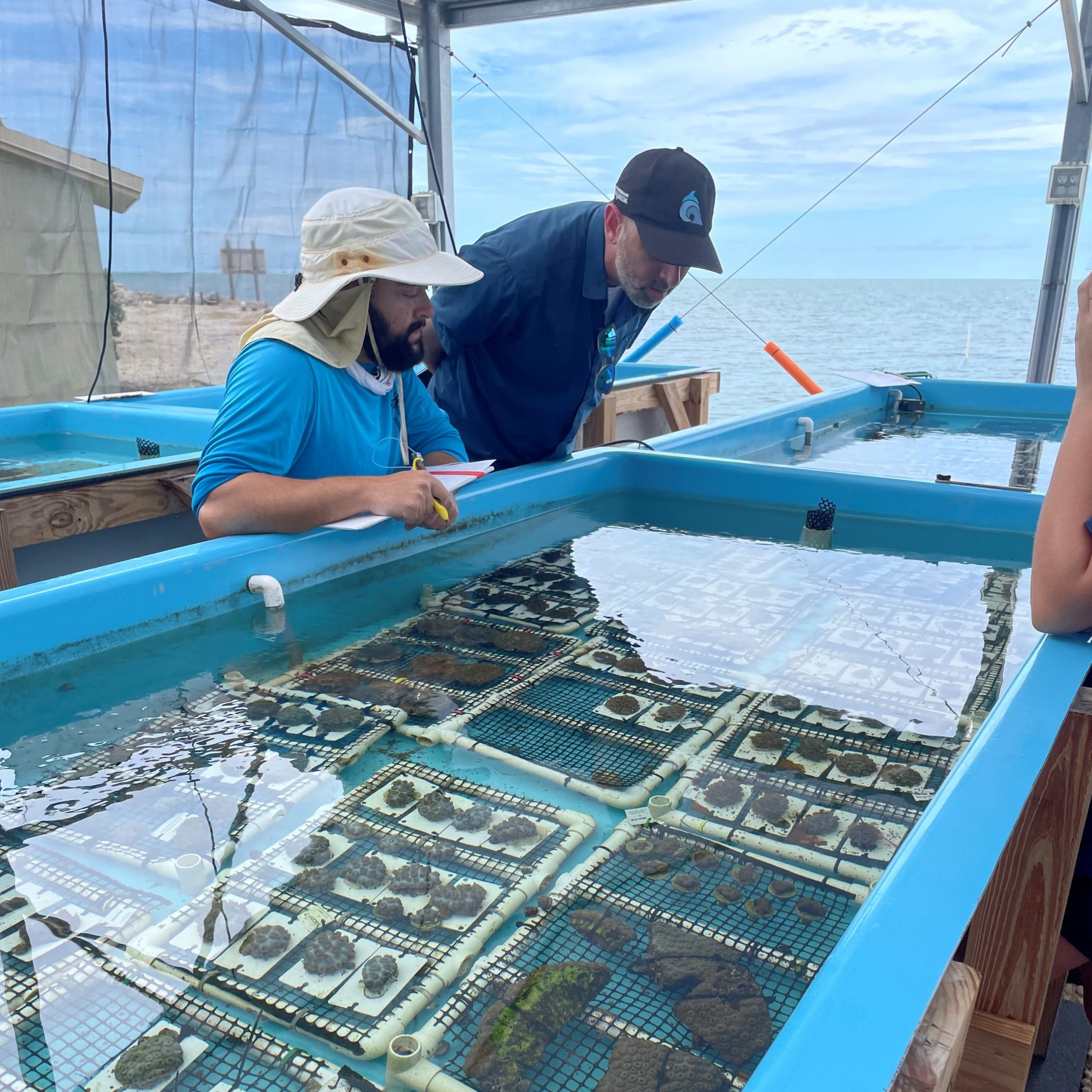 Dr-Ari-Fustukjian-coral-health-vet-right-assessing-health-of-rescued-corals-at-KML-facility-Credit-FIO-scaled.jpg