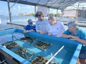 KML-Staff-Oversee-Corals
