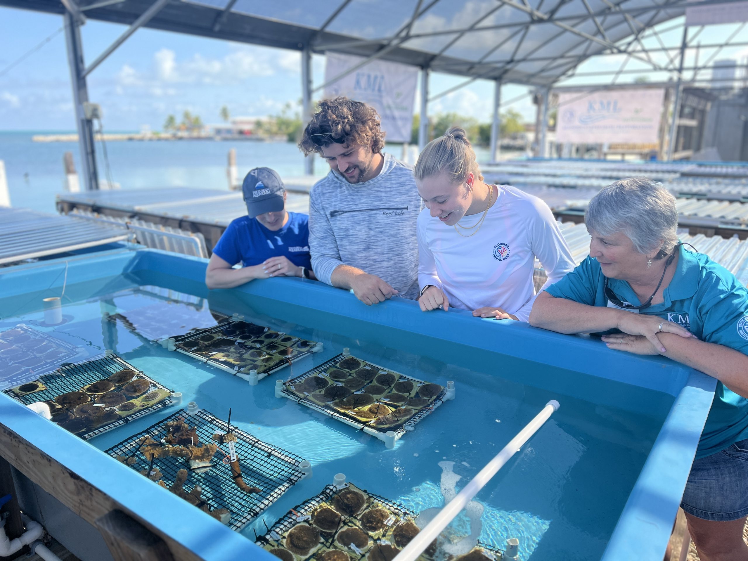KML-Staff-Oversee-Corals