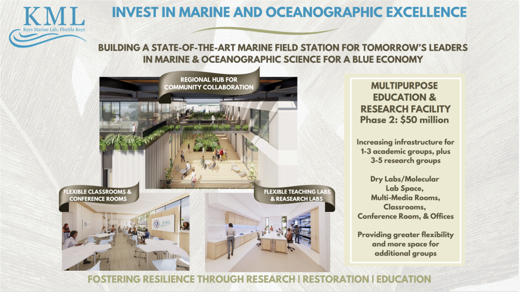 KML-Building-Campaign-4